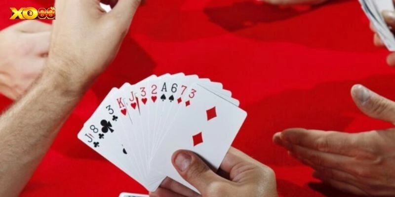 Cá cược trọn vẹn với lợi ích hấp dẫn từ nền tảng