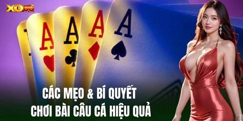 Bài Câu Cá: Chiến Thuật Và Mẹo Hay Từ Cao Thủ XO88