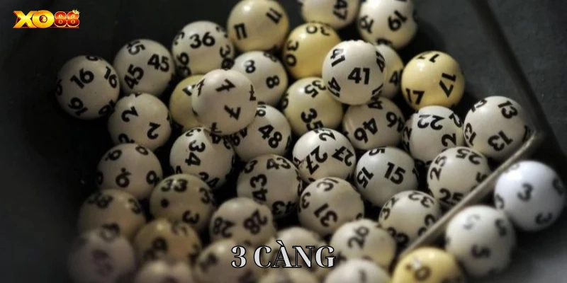 Lưu ý khi chơi 3 Càng