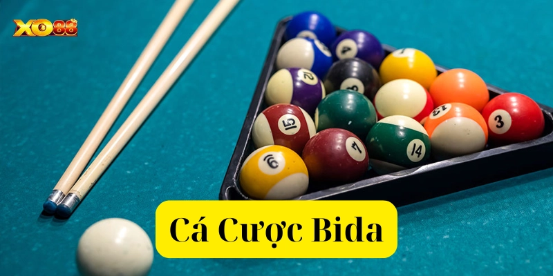 Mẹo chơi trong Cá Cược Bida