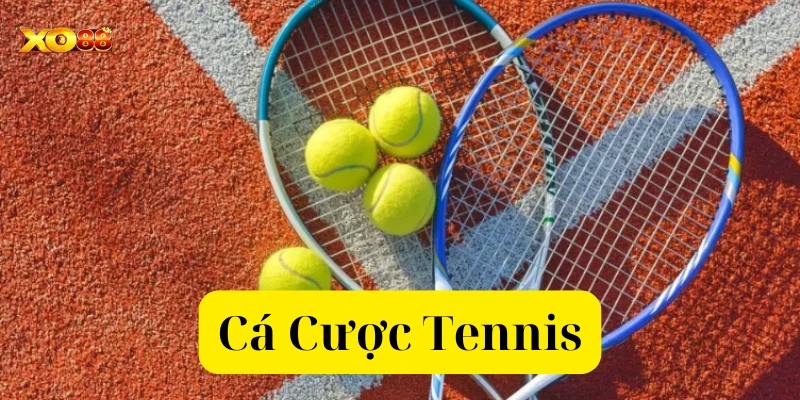Tìm hiểu Cá Cược Tennis
