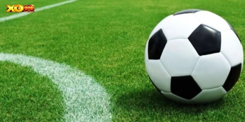 Bắt kèo hay với mẹo từ cao thủ cá cược