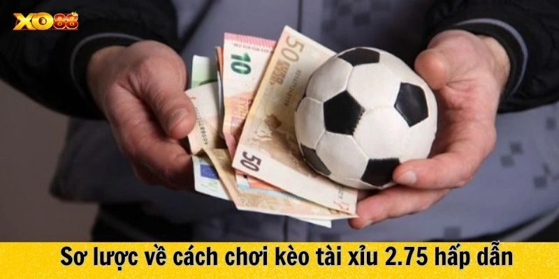 Giới thiệu đôi nét về kèo tài xỉu 2.75