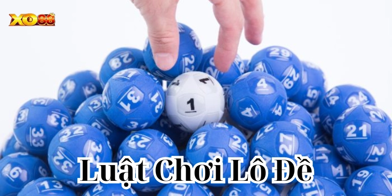 Những điểm cần lưu ý đến