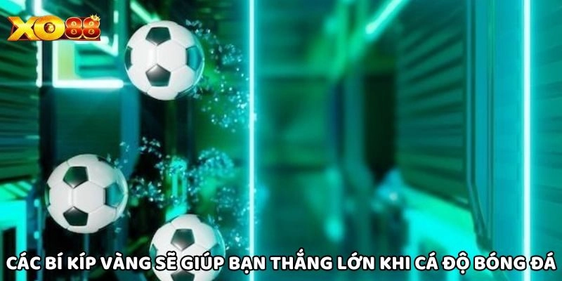 Kèo Châu Á - Hướng Dẫn Cách Đọc Và Nhận Định Từ Xo88