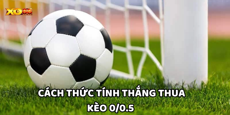 Cách tính thắng thua chi tiết cần nắm