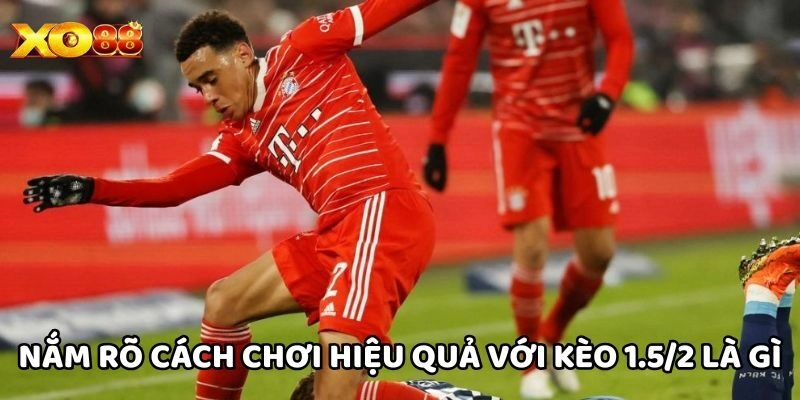 Kèo 1.5/2 Là Gì? Hướng Dẫn Chơi Chuẩn Xác Nhất Từ Xo88