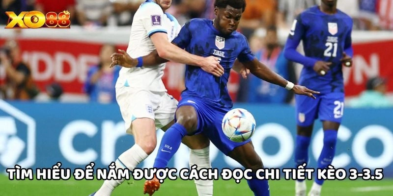 Tìm hiểu để nắm được cách đọc chi tiết Kèo 3/3.5