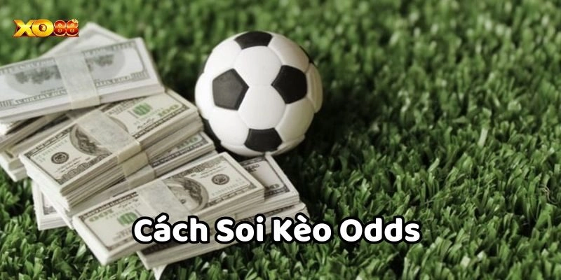 Cách Soi Kèo Odds từ chuyên gia lâu năm
