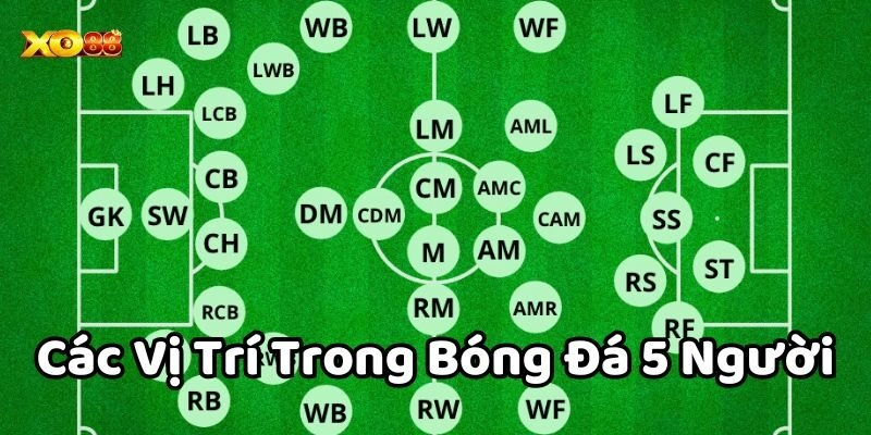 Nguyên nhân cần tìm hiểu các vị trí bóng đá 5 người