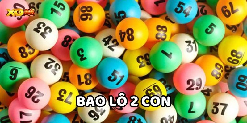 Phân tích Bao Lô 2 Con