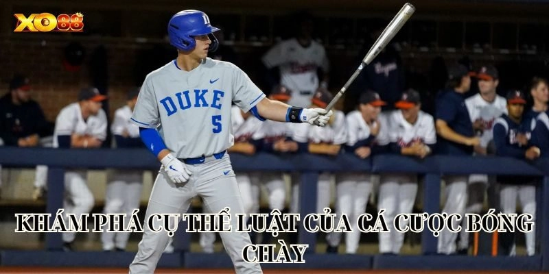 Cá Cược Bóng Chày Online – Hướng Dẫn Chi Tiết Từ Xo88