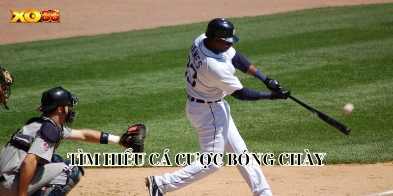 Tìm hiểu Cá Cược Bóng Chày